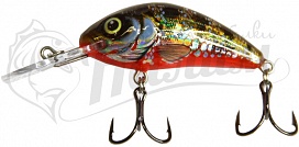 ������ Salmo Hornet H4.5F YHP