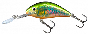 ������ Salmo HORNET PL H 6 F HOI